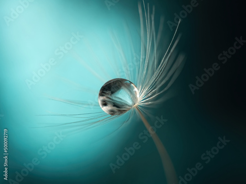 Beautiful water drop on a dandelion flower seed macro in nature. Beautiful deep saturated blue and turquoise background. Bright colorful expressive artistic image form