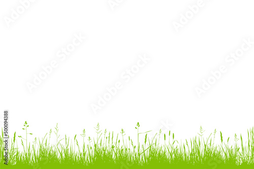 seamless grass border isolated on white background