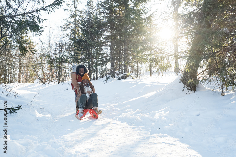 Long shot of playful young Black man pushing his joyful girlfriend on sledge in forest on sunny winter day