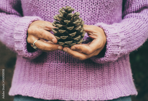 Woman hands holding a pine cone with violet sweater in background. Concept of environemental lifestyle and people loving nature. Female enjoying park and leisure activity photo