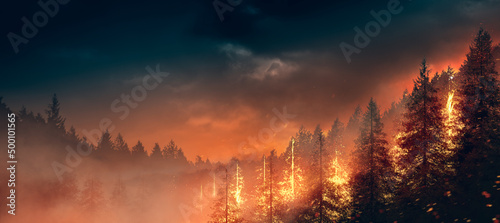 Wildfire burning through a forest. high contrast image. Illustration © fergregory