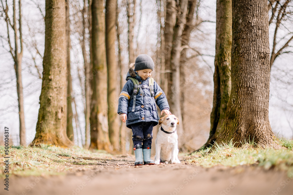 Fototapeta premium Small kid in blue jacket with white dog puppy breed jack russel terrier in spring forest. Childhood with pets concept
