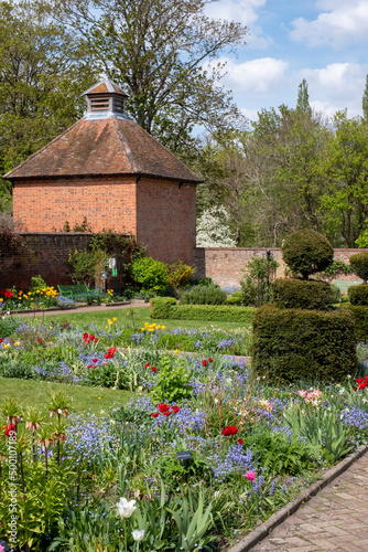 Photography Colourful tulips amidst other spring flowers at Eastcote House Gardens, historic walled garden maintained by a community of volunteers in the London Borough of Hillingdon
