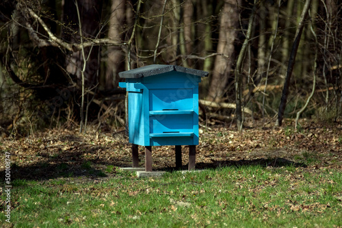 Niebieski ul w lesie kryty papą drewniane nogi photo