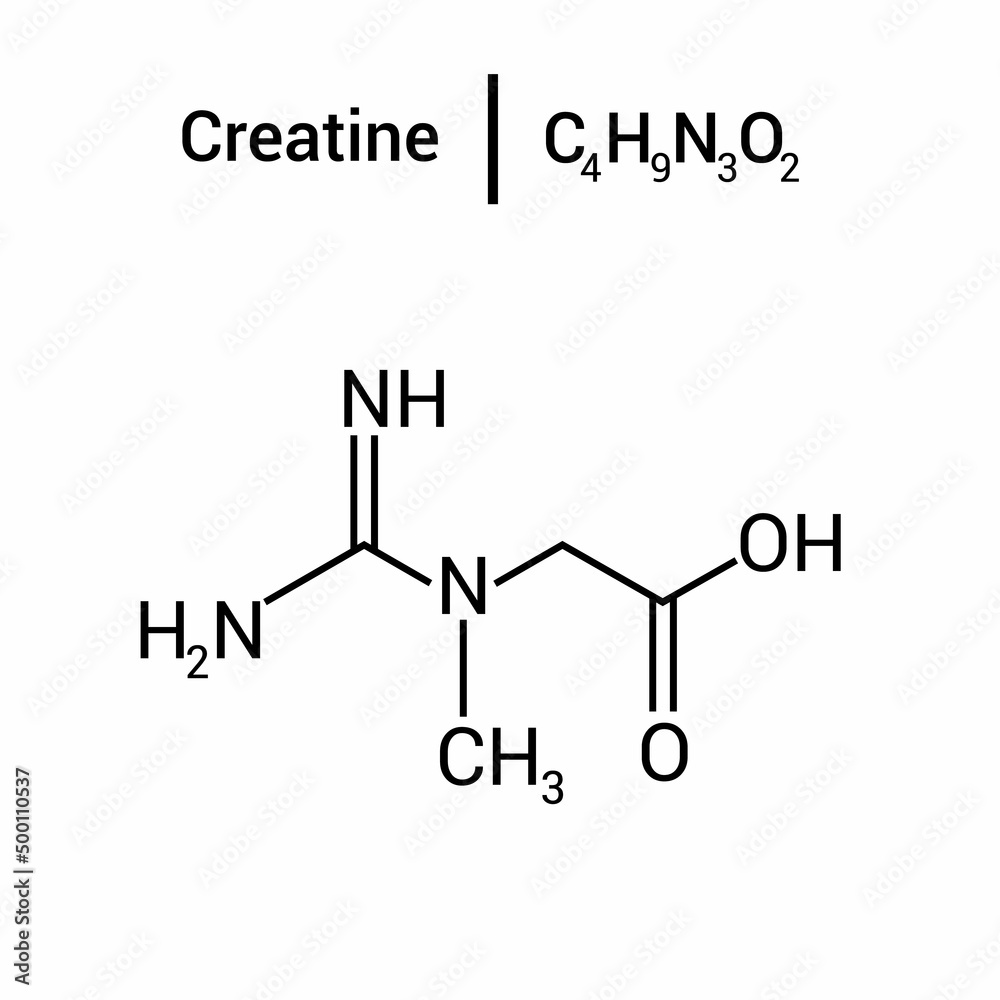 chemical structure of creatine (C4H9N3O2)