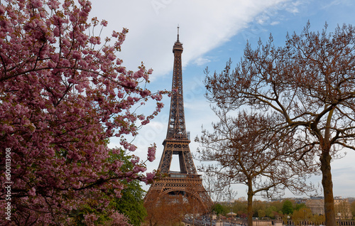 The iconic Eiffel Tower in Paris on a sunny spring day behind cherry blossoms © kovalenkovpetr