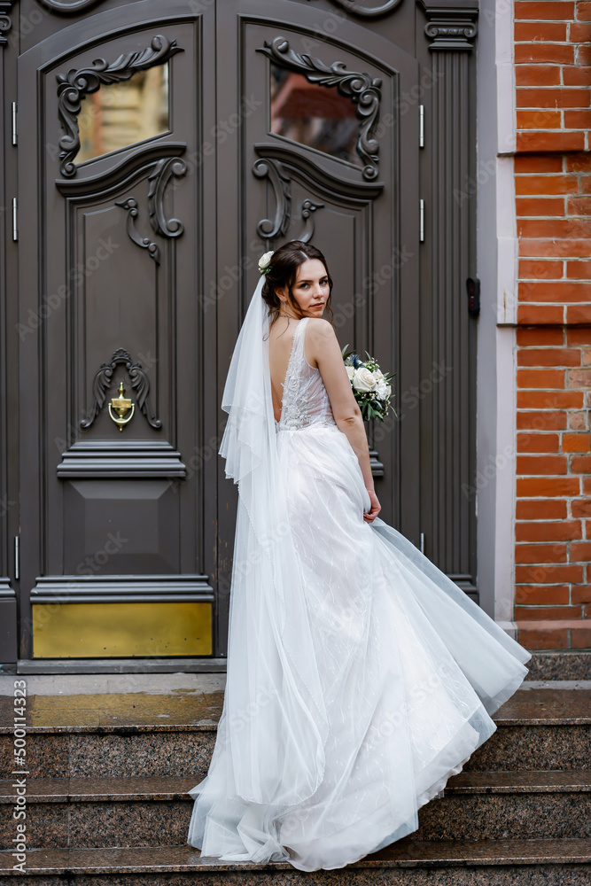 Fototapeta premium Young happy couple in love. The bride has dark hair and a long veil. Bridal bouquet