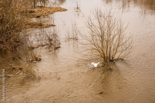Fotografia inundation , flood of water in spring , owerflow drowning everything : bushes ,