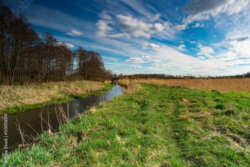 Fototapeta Naklejka Na Ścianę i Meble -  Wolbórka