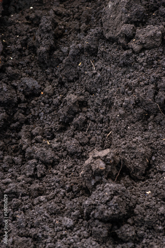 Clean soil for cultivation. Dry texture top view. Loose black soil in the form of lumps. Brown soil texture with small lumps as a background. Dirt  soil chunk in fields for plants   texture 