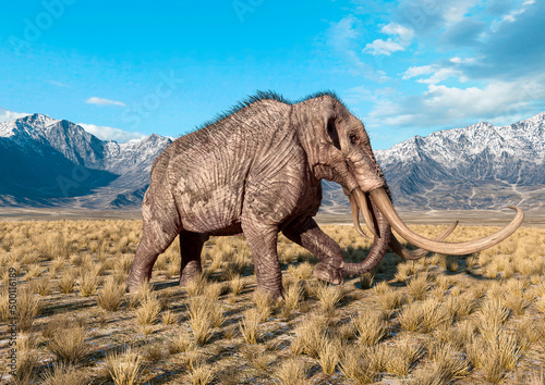 mammoth is walking in plains and mountains