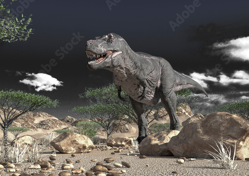 Fototapeta Naklejka Na Ścianę i Meble -  tyrannosaurus alone on desert