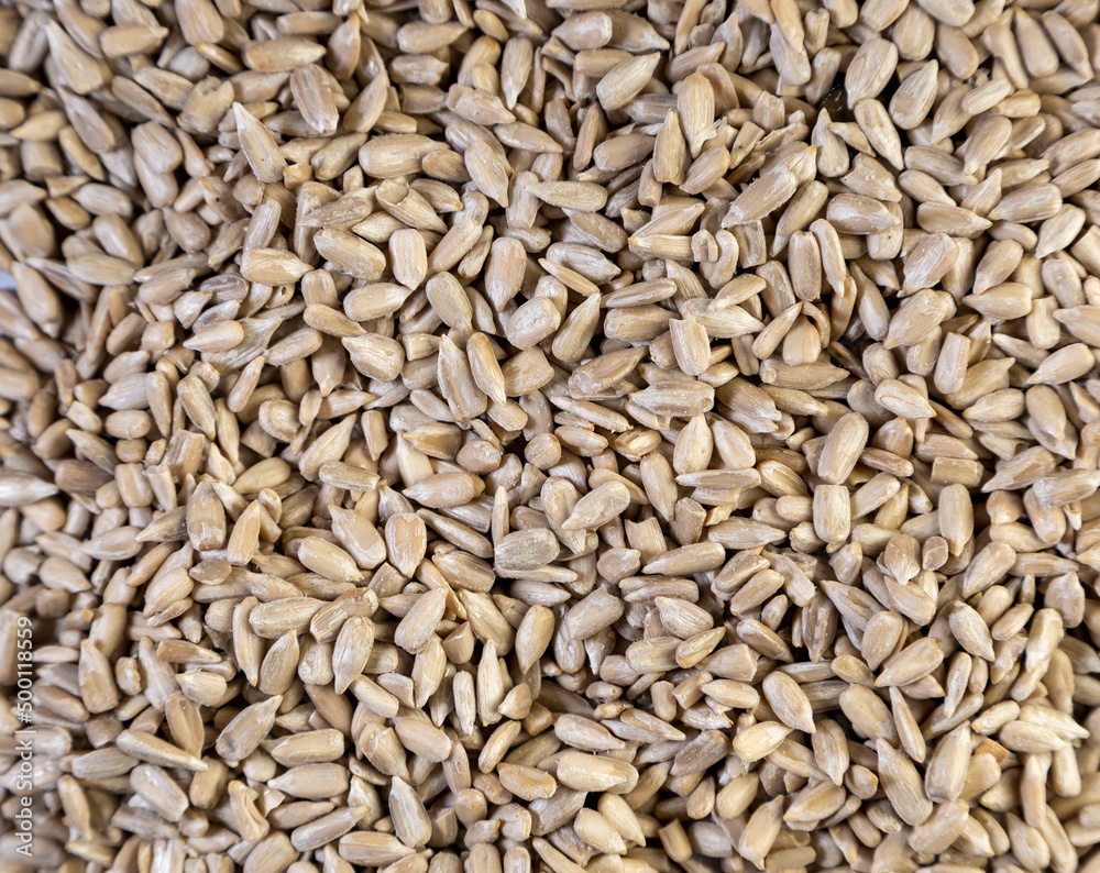 Sunflower Seeds Texture As Background. Sunflower Seeds Texture As Background.