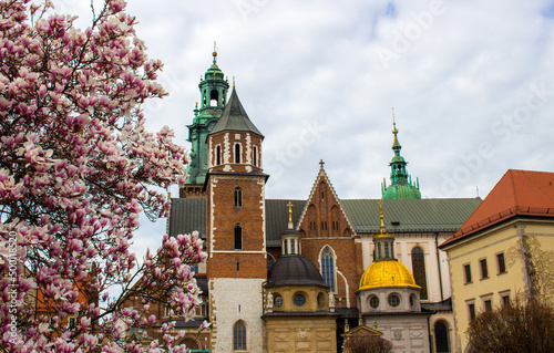 Wawel Castle in Krakow during spring