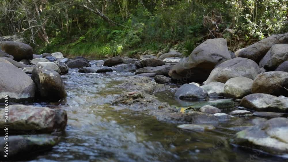 Clear Rocky Stream with Gentle Water Rolling Over Creek Bed Clear Rocky Stream with Gentle Water Rolling Over Creek Bed
