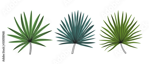 Hand drawn cute summer illustration of palm leaves set. Flat vector botanical frond elements in simple colored doodle style. Tropical exotic floral icon or print. Isolated on white background. © Esgoty