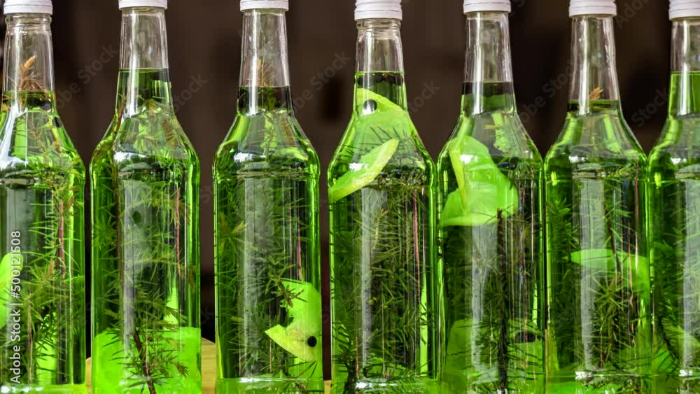 Medicinal tinctures from needles and lemon in high glass bottles. Green tinctures from young spruce branches on a black background, close-up. Homemade alcohol tinctures. Natural medicine health. Medicinal tinctures from needles and lemon in high glass bottles. Green tinctures from young spruce branches on a black background, close-up. Homemade alcohol tinctures. Natural medicine health.