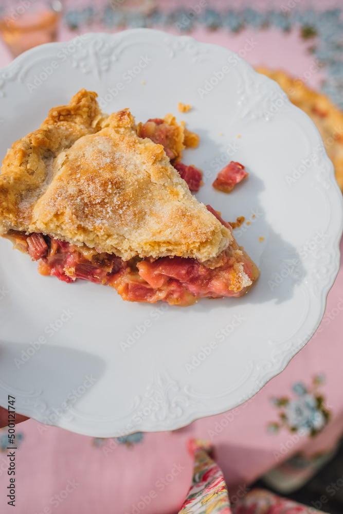 single slice of rhubarb pie on white plate, pink tablecloth with blue roses single slice of rhubarb pie on white plate, pink tablecloth with blue roses