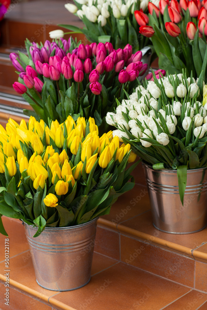 Many different colors on the stand table in the flower shop. Showcase. Background of mix of flowers. Beautiful flowers for catalog or online store. Floral shop and delivery concept. Many different colors on the stand table in the flower shop. Showcase. Background of mix of flowers. Beautiful flowers for catalog or online store. Floral shop and delivery concept.