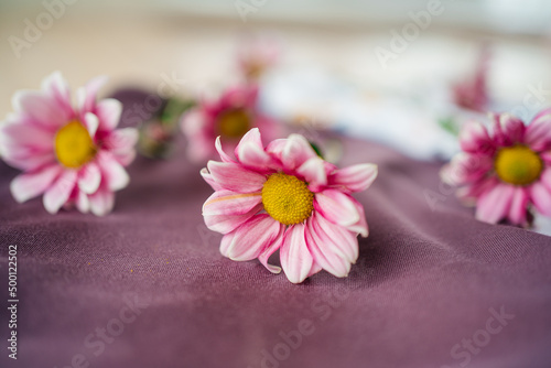 flowers on burgundy fabric copy space. High quality photo