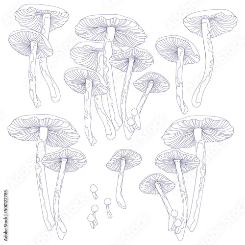 Set of mushrooms in vintage style, blue on white