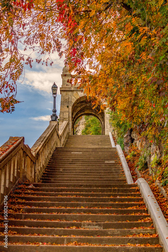 Photography stairs in autumn park