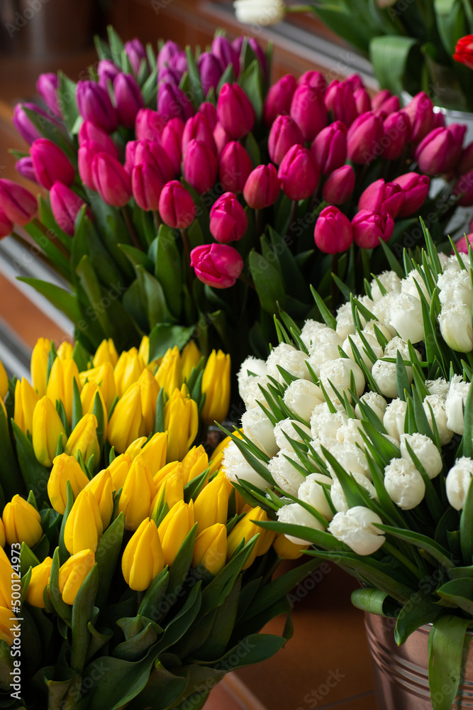 Many different colors on the stand table in the flower shop. Showcase. Background of mix of flowers. Beautiful flowers for catalog or online store. Floral shop and delivery concept.