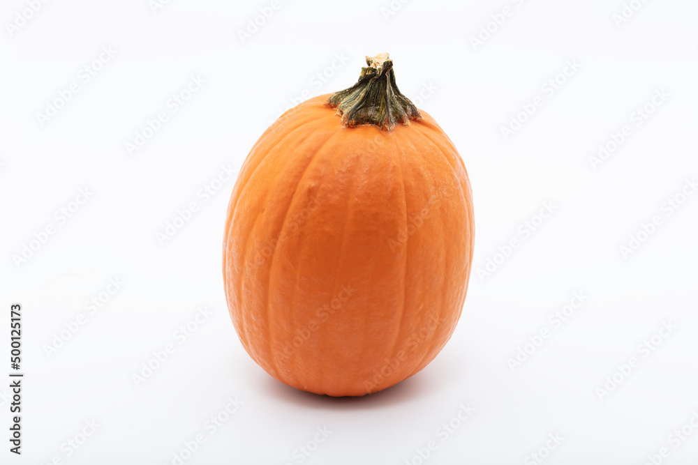 pumpkin pumpkin