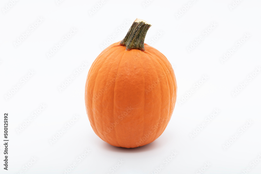 pumpkin pumpkin