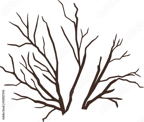 Abstract dry tree branches isolated on white background
