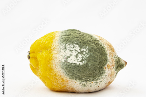 Spoiled lemon with mold. White background. Spoiled citrus