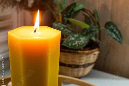 A tall hexagonal shaped beeswax candle is displayed with a plant. photo