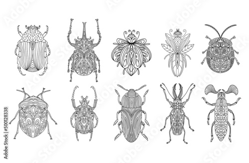 Set of beetles and insects in a linear style. Linear vector illustration of beetles.