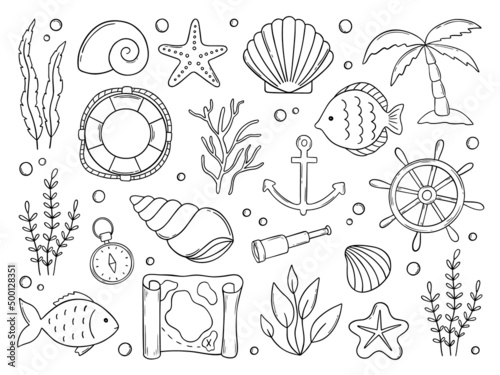 Hand drawn set of sea doodle. Marine elements: shells, fish, seaweed, anchor and .lifebuoy in sketch style. Vector illustration isolated on white background.