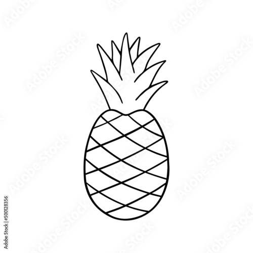 Hand drawn pineapple doodle. Fruit in sketch style. Vector illustration isolated on white background.