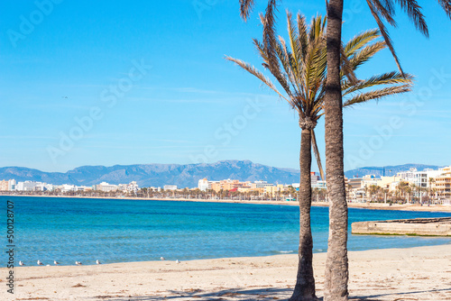 Palms and Mediterranean sea at the beach of Arenal, Majorca, Spain