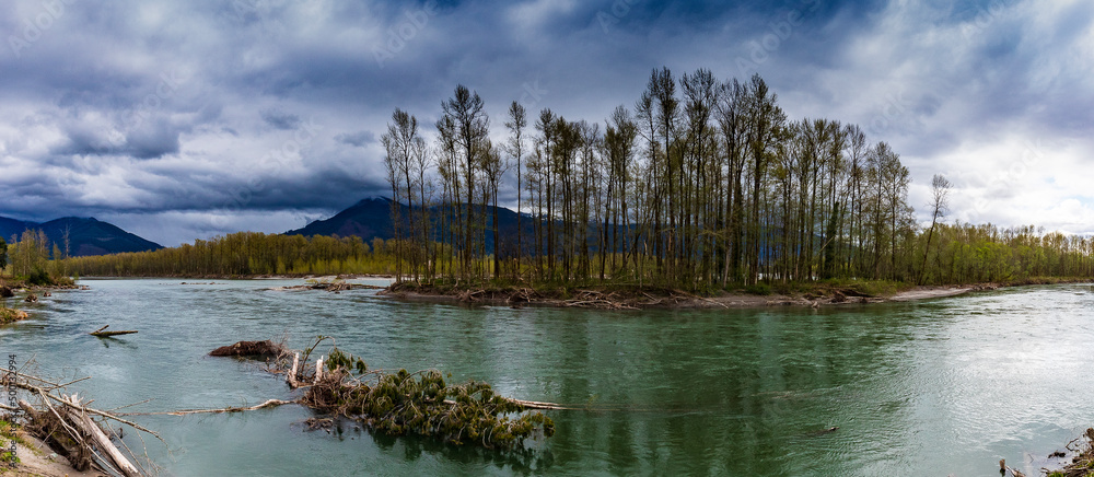 Skagit river with forest island