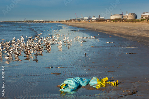 Fotografie Plastic pollution on a beach in the gulf of mexico in texas, next to oil and pet