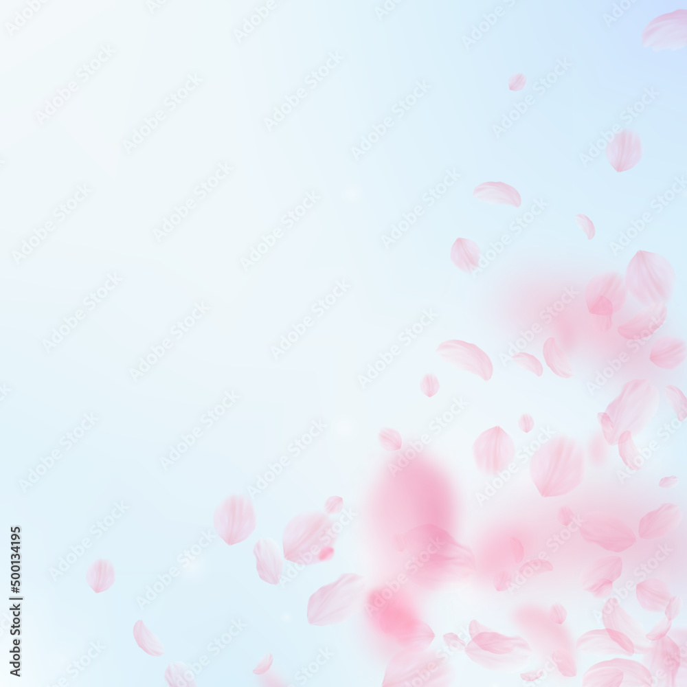 Sakura petals falling down. Romantic pink flowers corner. Flying petals on blue sky square background. Love, romance concept. Adorable wedding invitation.
