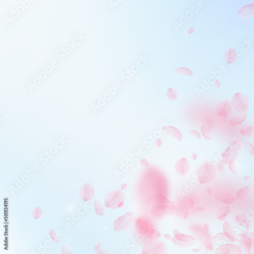 Sakura petals falling down. Romantic pink flowers corner. Flying petals on blue sky square background. Love  romance concept. Adorable wedding invitation.