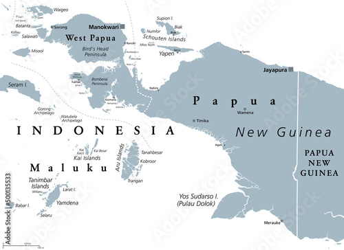 Western New Guinea, gray political map. Also Papua, is a Western portion of the Melanesian island of New Guinea, administered by Indonesia, with the provinces Papua and West Papua. English labeling.