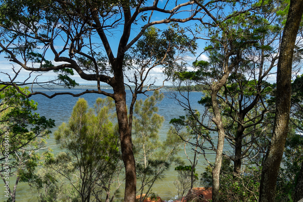 Looking through tree tops to the calm blue-green waters of Moreton Bay. Coochiemudlo Island, Queensland, Australia. 