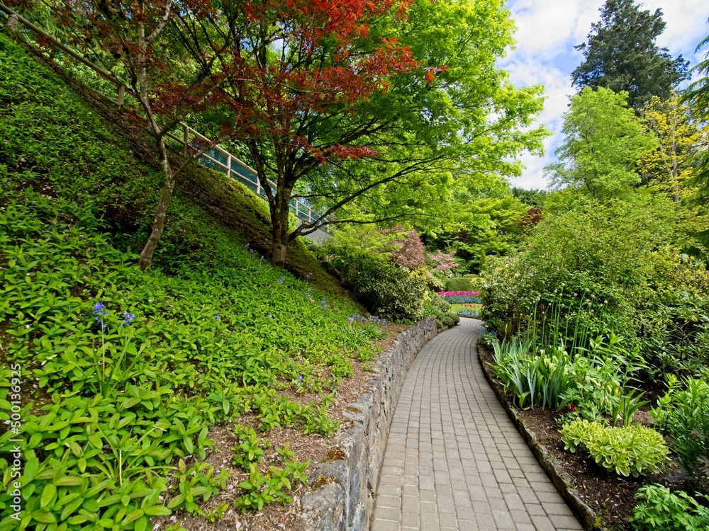 Lush garden blooming in the springtime with tulips, flowerbeds and lawns Lush garden blooming in the springtime with tulips, flowerbeds and lawns