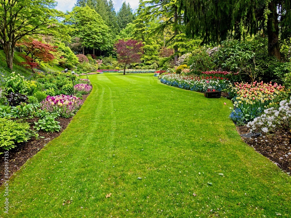 Obraz premium Lush garden blooming in the springtime with tulips, flowerbeds and lawns