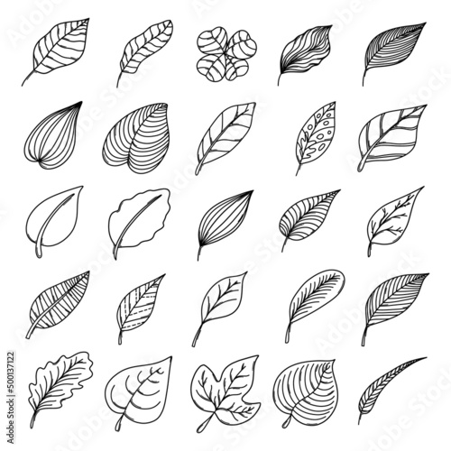 Leaf Doodle vector icon set. Drawing sketch illustration hand drawn line eps10