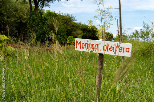 letrero jardín