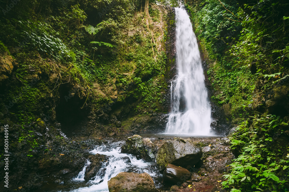 Powerful waterfall in forest in Bali