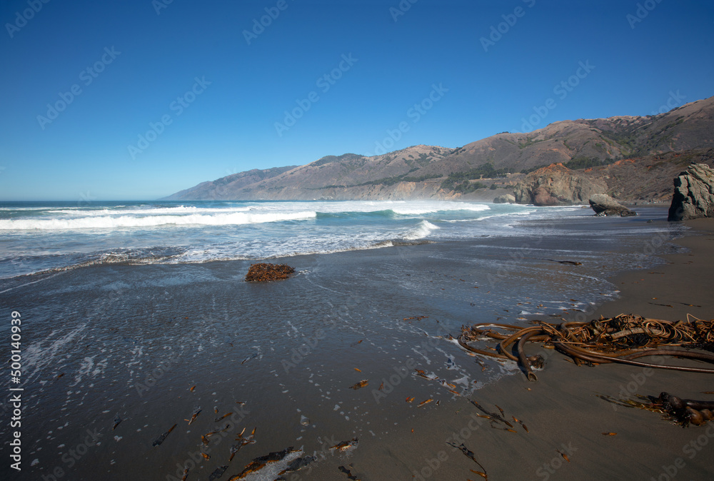 Kelp washing ashore at the original Ragged Point at Big Sur on the Central Coast of California United States Kelp washing ashore at the original Ragged Point at Big Sur on the Central Coast of California United States