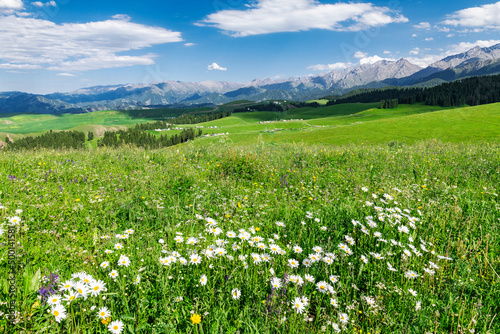 Summer Jiang braque scenic spot landscape in Qitai county Xinjiang Uygur Autonomous Region  China.