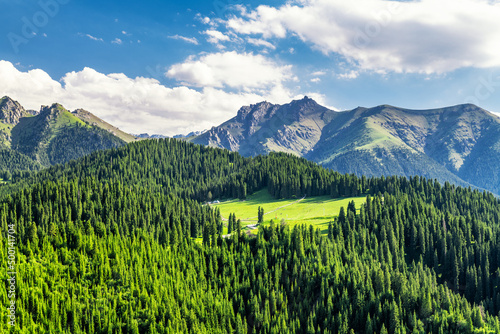 Summer Jiang braque scenic spot landscape in Qitai county Xinjiang Uygur Autonomous Region, China.